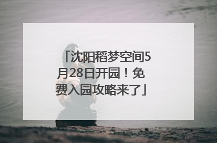 沈阳稻梦空间5月28日开园！免费入园攻略来了
