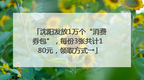 沈阳发放1万个“消费券包”，每份3张共计180元，领取方式→