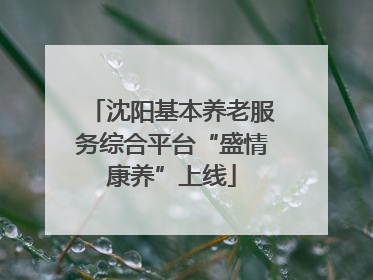 沈阳基本养老服务综合平台“盛情康养”上线