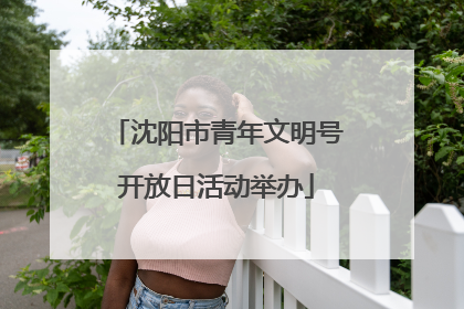 沈阳市青年文明号开放日活动举办