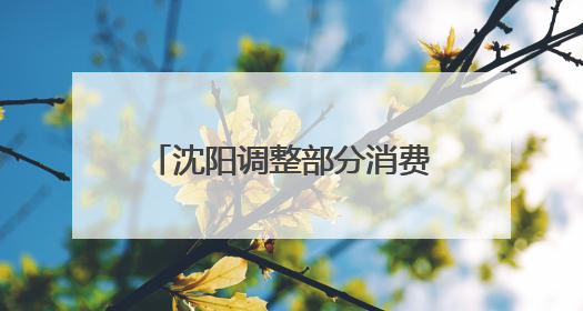 沈阳调整部分消费品以旧换新活动