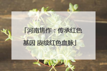 河南焦作：传承红色基因 赓续红色血脉