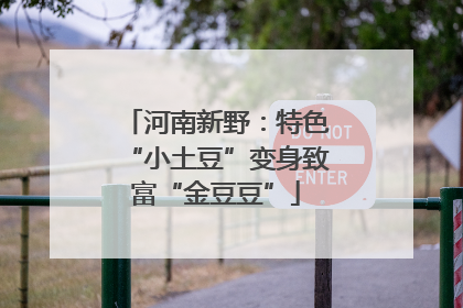 河南新野：特色“小土豆”变身致富“金豆豆”