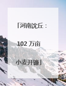河南沈丘：102 万亩小麦开镰