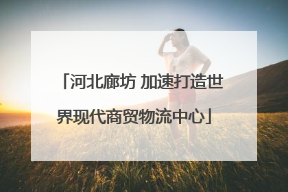 河北廊坊 加速打造世界现代商贸物流中心