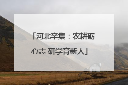 河北辛集：农耕砺心志 研学育新人