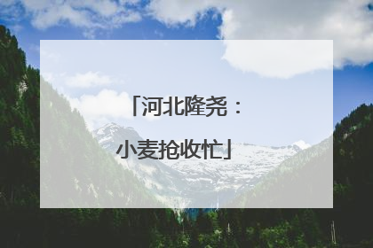 河北隆尧：小麦抢收忙