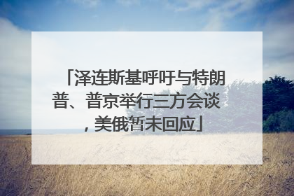 泽连斯基呼吁与特朗普、普京举行三方会谈，美俄暂未回应