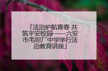 法治护航青春 共筑平安校园——六安市毛坦厂中学举行法治教育讲座