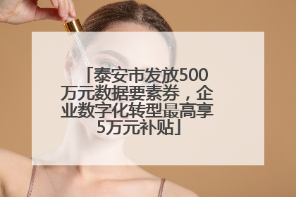 泰安市发放500万元数据要素券，企业数字化转型最高享5万元补贴