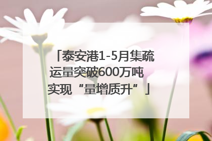 泰安港1-5月集疏运量突破600万吨 实现“量增质升”