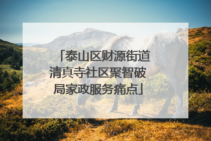 泰山区财源街道清真寺社区聚智破局家政服务痛点