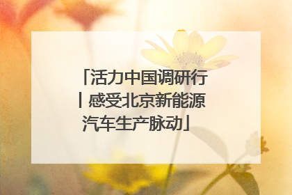 活力中国调研行丨感受北京新能源汽车生产脉动