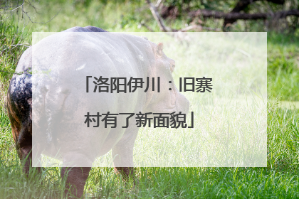 洛阳伊川：旧寨村有了新面貌