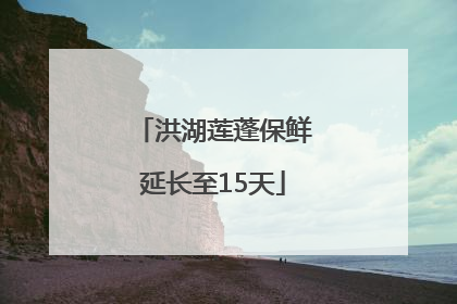 洪湖莲蓬保鲜延长至15天