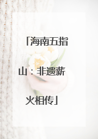 海南五指山：非遗薪火相传