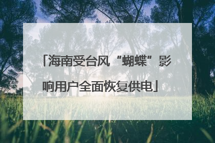 海南受台风“蝴蝶”影响用户全面恢复供电