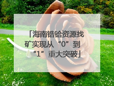 海南锆铪资源找矿实现从“0”到“1”重大突破