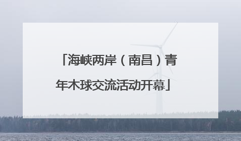 海峡两岸（南昌）青年木球交流活动开幕