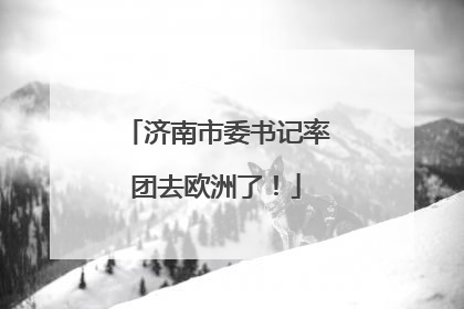 济南市委书记率团去欧洲了！