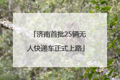 济南首批25辆无人快递车正式上路