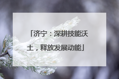 济宁：深耕技能沃土，释放发展动能