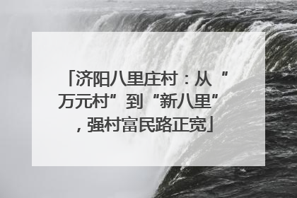 济阳八里庄村：从“万元村”到“新八里”，强村富民路正宽