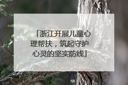 浙江开展儿童心理帮扶，筑起守护心灵的坚实防线
