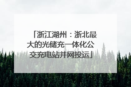 浙江湖州：浙北最大的光储充一体化公交充电站并网投运