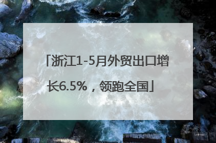 浙江1-5月外贸出口增长6.5%，领跑全国