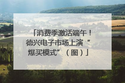 消费季激活端午！德兴电子市场上演“爆买模式”（图）