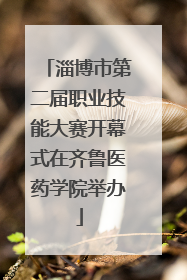 淄博市第二届职业技能大赛开幕式在齐鲁医药学院举办