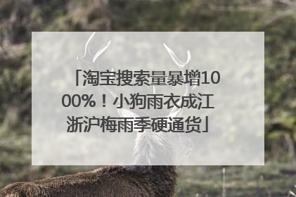 淘宝搜索量暴增1000%！小狗雨衣成江浙沪梅雨季硬通货