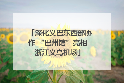 深化义巴东西部协作 “巴州馆”亮相浙江义乌机场