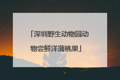 深圳野生动物园动物尝鲜洋蒲桃果