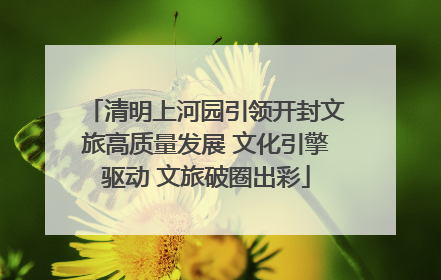 清明上河园引领开封文旅高质量发展 文化引擎驱动 文旅破圈出彩