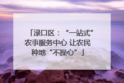 渌口区：“一站式”农事服务中心 让农民种地“不操心”