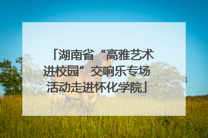 湖南省“高雅艺术进校园”交响乐专场活动走进怀化学院