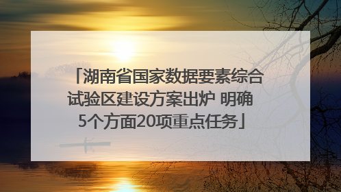 湖南省国家数据要素综合试验区建设方案出炉 明确5个方面20项重点任务