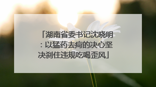湖南省委书记沈晓明：以猛药去疴的决心坚决刹住违规吃喝歪风
