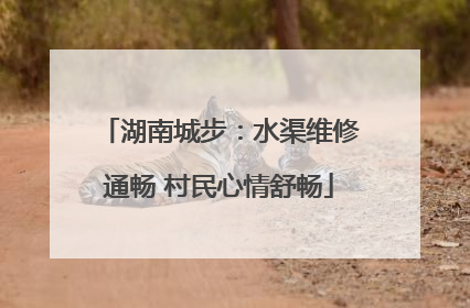 湖南城步：水渠维修通畅 村民心情舒畅