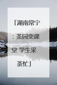 湖南常宁：茶园变课堂 学生采茶忙