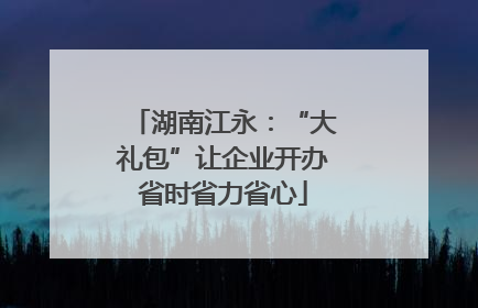 湖南江永：“大礼包”让企业开办省时省力省心