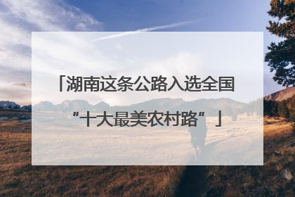 湖南这条公路入选全国“十大最美农村路”