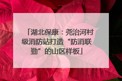 湖北保康：尧治河村级消防站打造“防消联勤”的山区样板