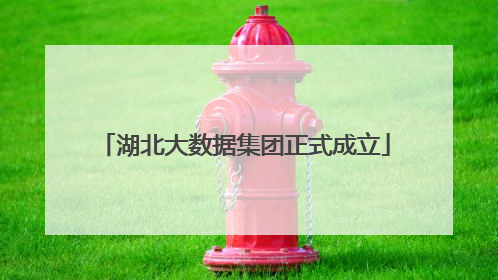 湖北大数据集团正式成立