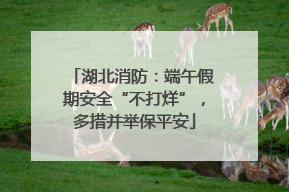 湖北消防：端午假期安全“不打烊”，多措并举保平安