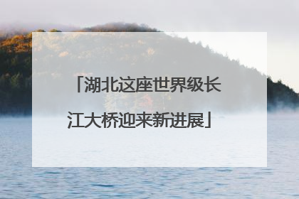 湖北这座世界级长江大桥迎来新进展