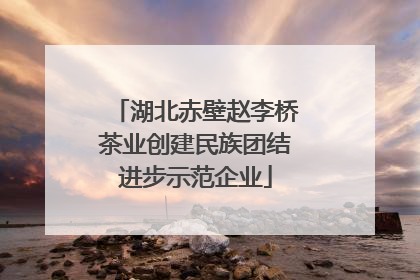 湖北赤壁赵李桥茶业创建民族团结进步示范企业