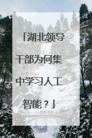 湖北领导干部为何集中学习人工智能？